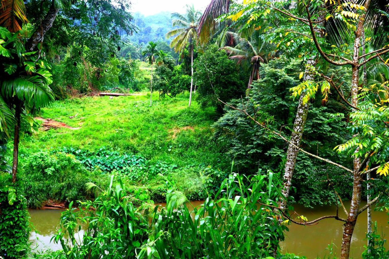 Rainforest River Bay Deniyaya Exterior foto